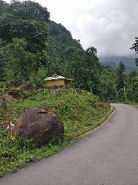  Agricultural Land for Sale in Rishi Road, Kalimpong