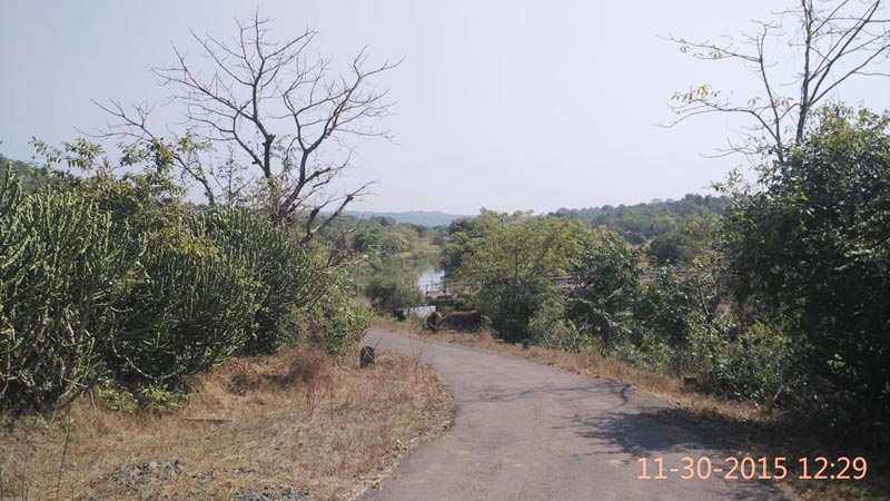 Agricultural Land 30 Acre for Sale in Alibag, Raigad