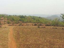  Agricultural Land for Sale in Sawarde, Ratnagiri