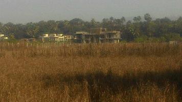  Agricultural Land for Sale in Alibag, Raigad