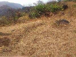  Agricultural Land for Sale in Virar West, Mumbai