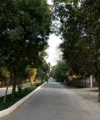 3 BHK Flat for Sale in Greater Noida West