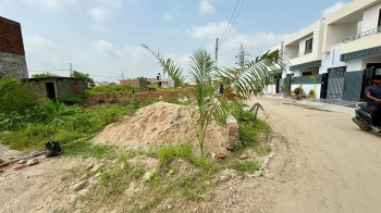  Residential Plot for Sale in Verka Milk Plant, Jalandhar