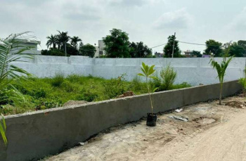  Residential Plot for Sale in Verka Milk Plant, Jalandhar