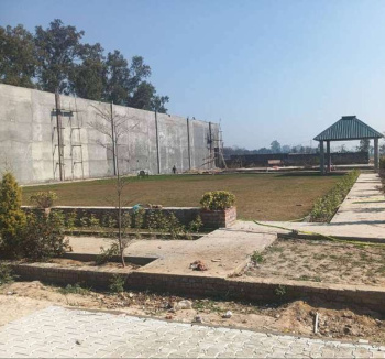  Residential Plot for Sale in Rama Mandi, Jalandhar