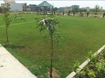  Residential Plot for Sale in Rama Mandi, Jalandhar