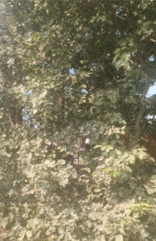  Residential Plot for Sale in Anoopshahar Road, Aligarh