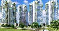 3 BHK Flat for Sale in Sector 61 Gurgaon