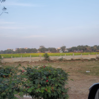  Agricultural Land for Sale in Bijwasan, Delhi