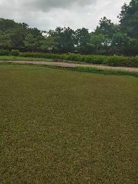  Agricultural Land for Sale in Kangan Heri, Delhi