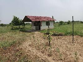  Agricultural Land for Sale in Silani Gate, Jhajjar