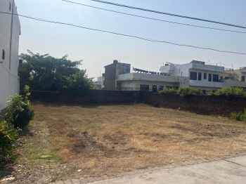  Residential Plot for Sale in Sadaura, Yamunanagar