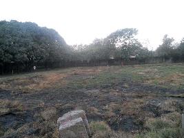  Commercial Land for Sale in Phase 1, Mohali