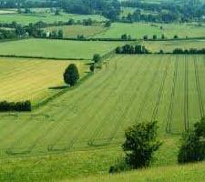  Agricultural Land for Sale in Ambala Highway, Zirakpur