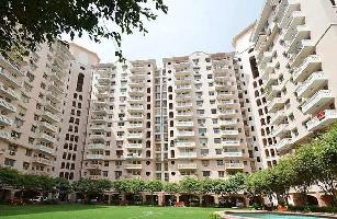 3 BHK Flat for Rent in DLF Phase V, Gurgaon
