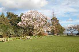  1000 Sq.ft. Residential Plot for Sale in Sakroda, Udaipur