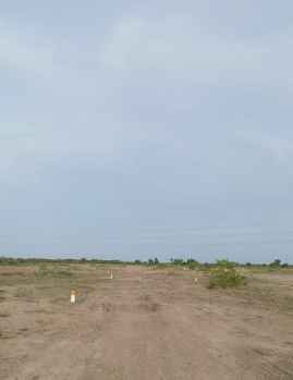  Agricultural Land for Sale in Thirunagar, Madurai