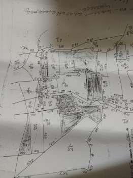 4 Acre Agricultural Land for Sale in Mudipu, Mangalore