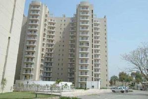 3 BHK Flat for Sale in Sector 86 Faridabad