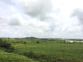  Agricultural Land for Sale in Peth Road, Nashik