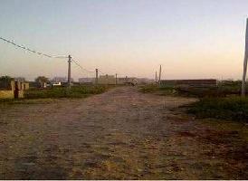  Residential Plot for Sale in Noida Extension, Greater Noida