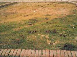  Residential Plot for Sale in Sultanpur Road, Lucknow