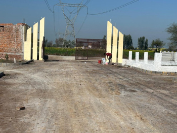  Commercial Land for Sale in Chhata, Mathura