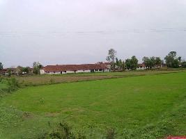  Agricultural Land for Sale in Dawaniwada, Gondiya