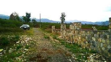  Residential Plot for Sale in Mothrowala, Dehradun