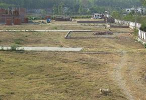  Residential Plot for Sale in Mothrowala, Dehradun