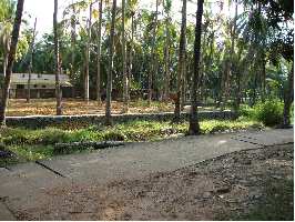  Residential Plot for Sale in Guruvayur, Thrissur