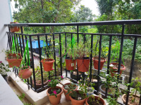2 BHK Flat for Sale in PTP Nagar, Thiruvananthapuram