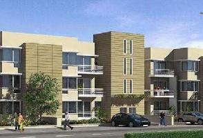 4 BHK Builder Floor for Sale in DLF Phase I, Gurgaon