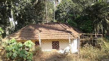 Residential Plot for Sale in Painkulam, Thrissur