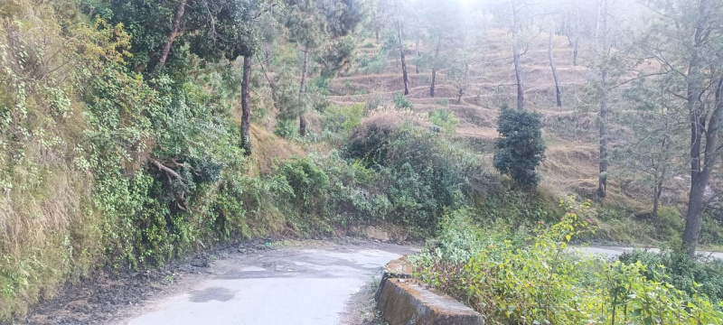  Residential Plot 900 Sq.ft. for Sale in Ranikhet, Almora