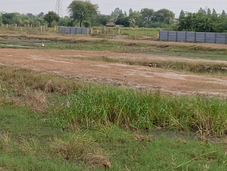  Residential Plot 125 Sq. Yards for Sale in Jattari, Aligarh