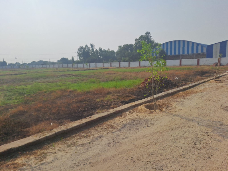  Residential Plot 125 Sq. Yards for Sale in Jattari, Aligarh