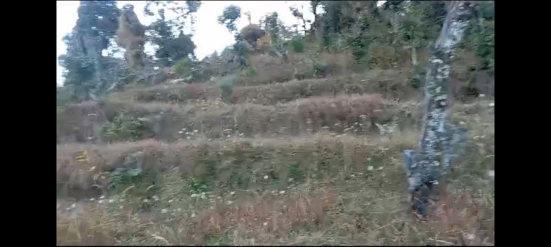  Residential Plot 3600 Sq. Yards for Sale in ‎Motiapathar, Almora