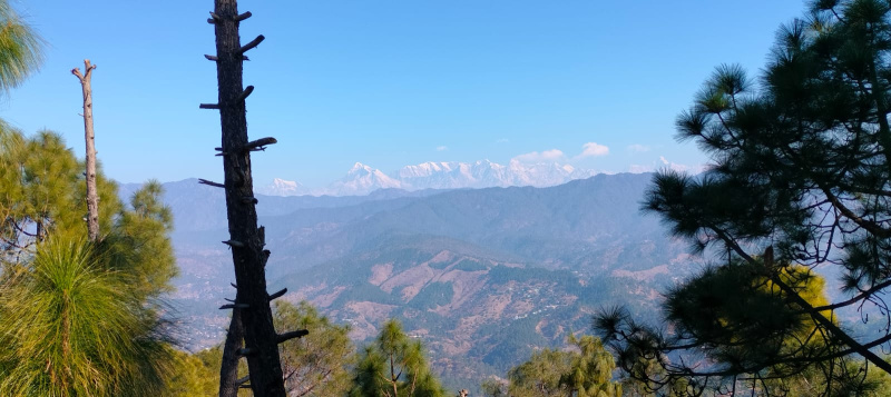  Residential Plot 5400 Sq.ft. for Sale in Mall Road, Almora