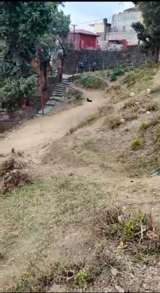  Residential Plot 8500 Sq. Yards for Sale in Barlow Ganj, Dehradun