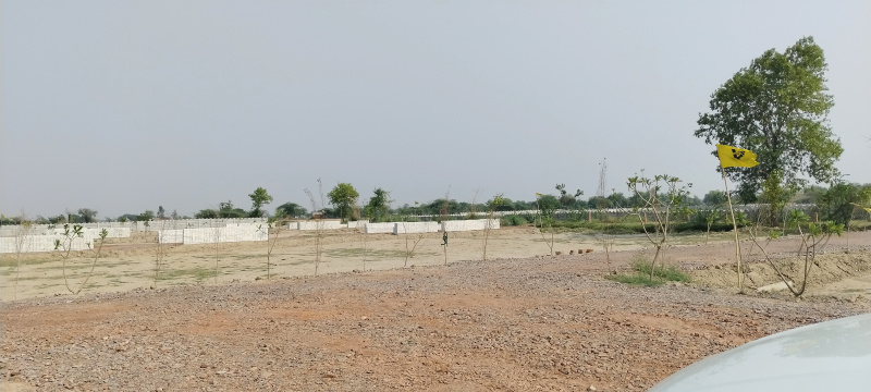  Residential Plot 100 Sq. Yards for Sale in Govardhan, Mathura