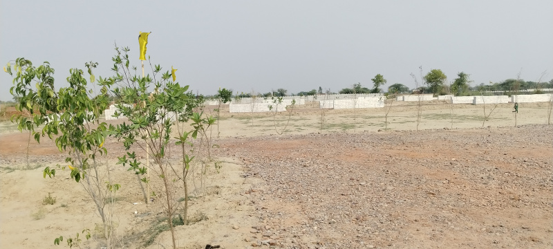  Residential Plot 100 Sq. Yards for Sale in Govardhan, Mathura