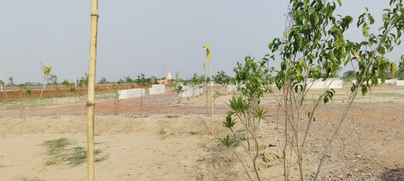  Residential Plot 100 Sq. Yards for Sale in Govardhan, Mathura