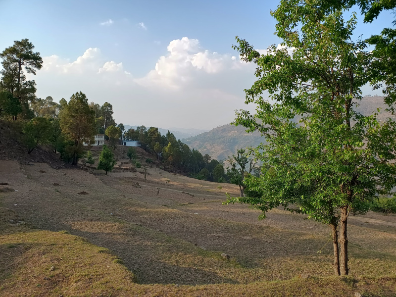  Residential Plot 1200 Sq. Yards for Sale in Ranikhet, Almora