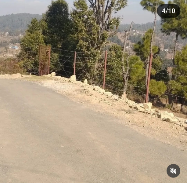  Residential Plot 2700 Sq.ft. for Sale in Tanakpur, Champawat