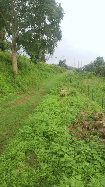  Hotels 2000 Sq. Yards for Sale in Sattal Road, Nainital