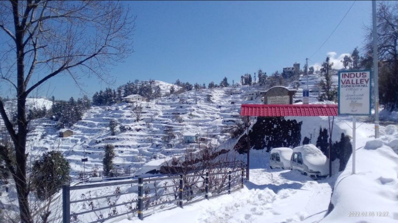  Residential Plot 240 Sq. Yards for Sale in Mukteshwar, Nainital