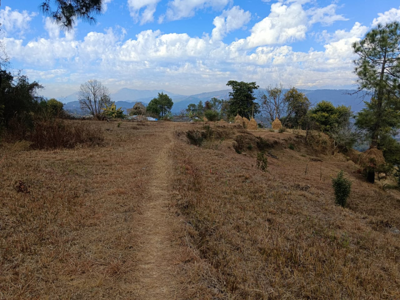  Residential Plot 24 Bigha for Sale in Kaladhungi, Nainital