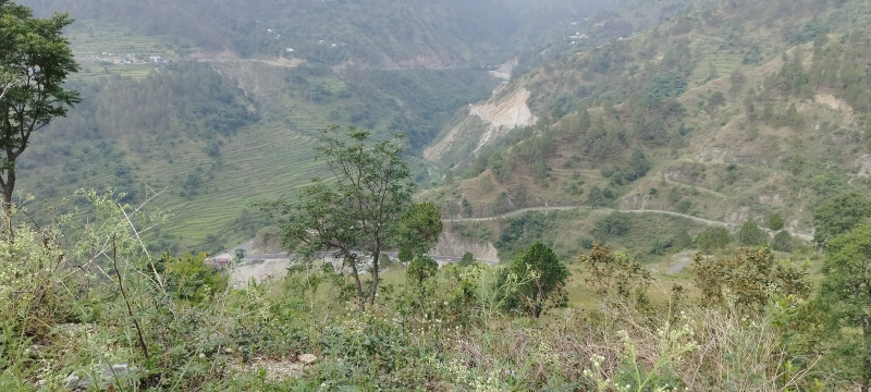  Residential Plot 120 Sq. Yards for Sale in Muni Ki Reti, Tehri Garhwal