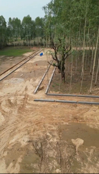  Residential Plot 900 Sq.ft. for Sale in Sahaspur, Dehradun